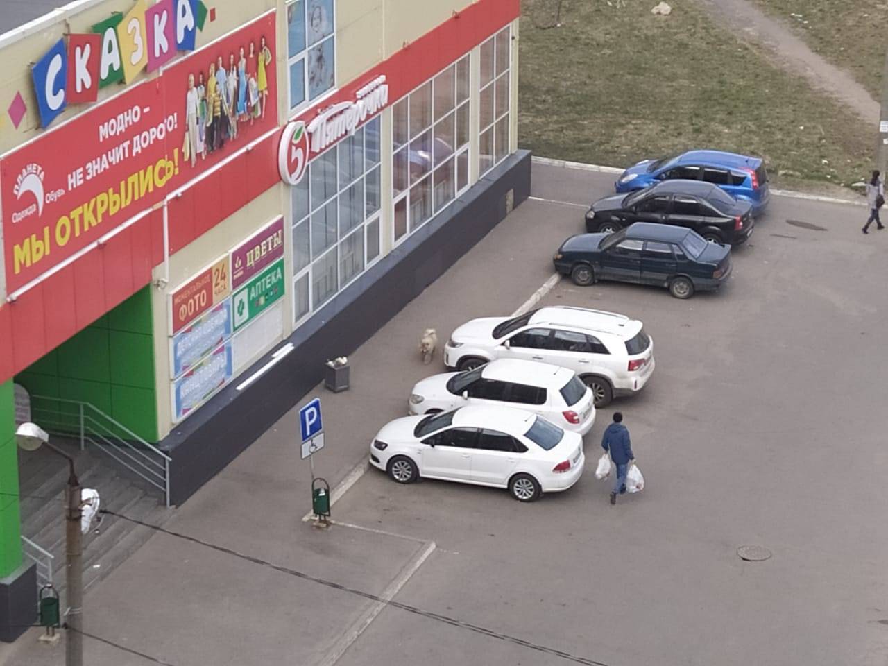 Тц Визит Кострома Магазин Одежды Режим Работы