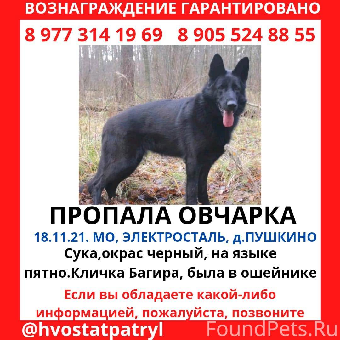 Что делать сразу после пропажи?