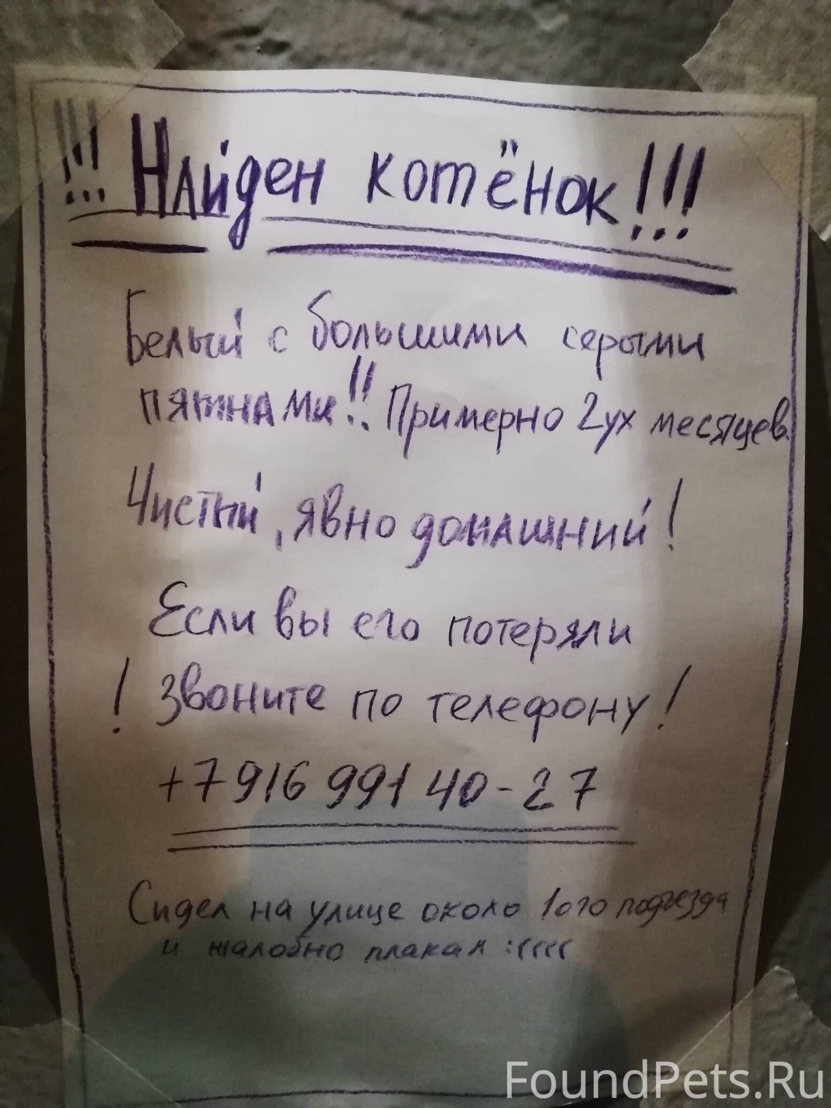 Объявление. #Зеленоград, найден котенок Но...