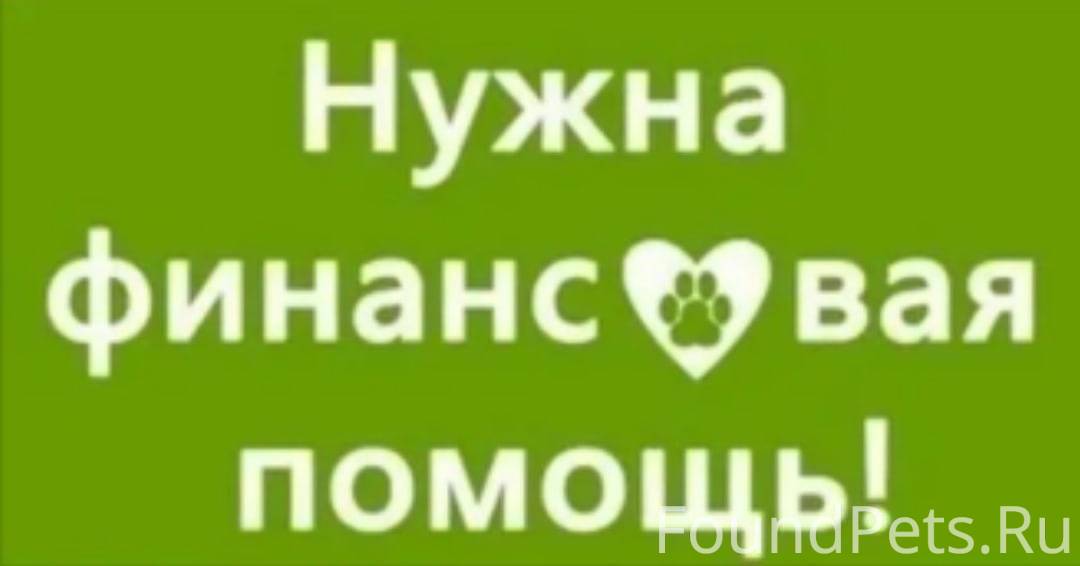 Заканчиваться помощь. Нужна финансовая помощь. Срочно нужна фин помощь.