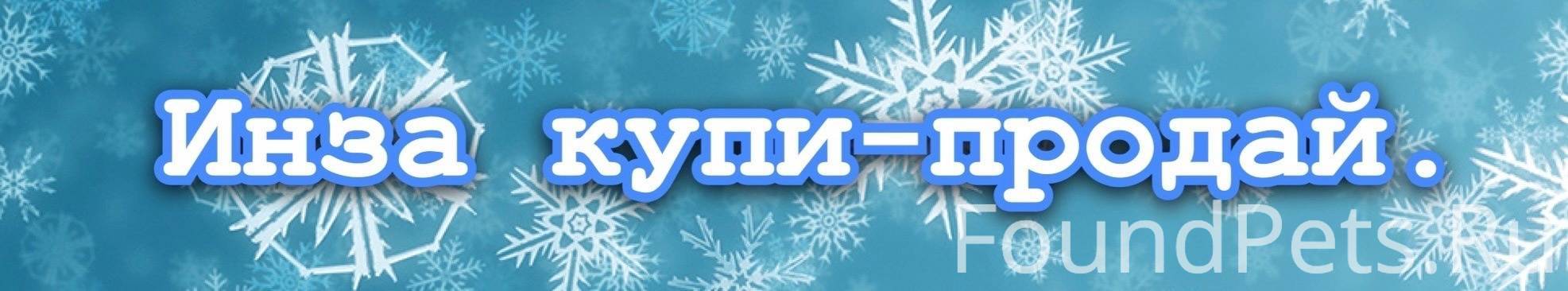 мотивация на новый год. 23 декабря именины. срочный декабрь. декабрь цитаты красивые. статусы про новый год.