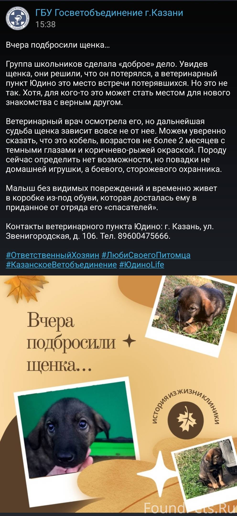 Объявление. Здравствуйте! Хочу предложить ...