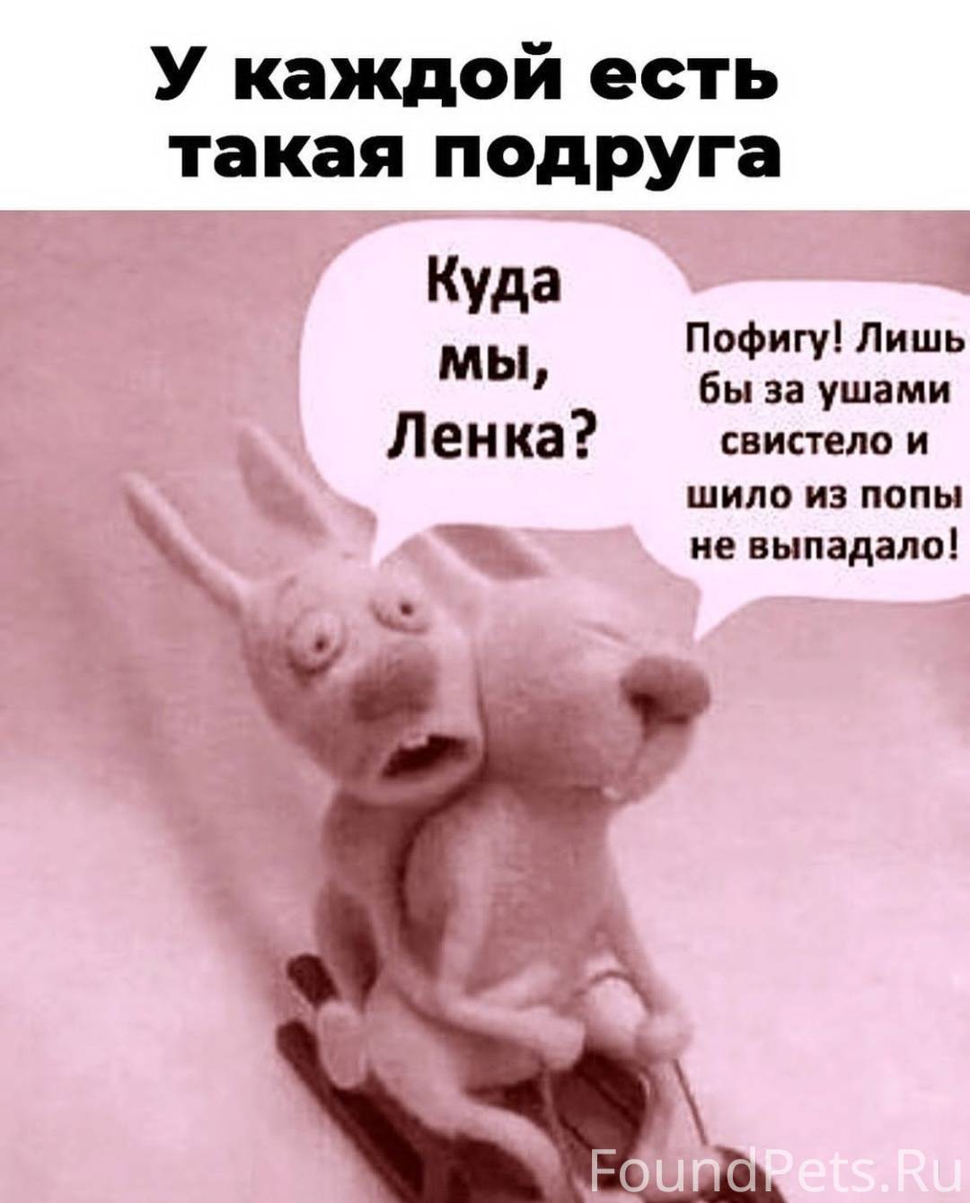 Мы такие прикольные. Мы такие прикольные. Анекдоты про ленку. Приколы про подруг картинки. Мы такие прикольные.