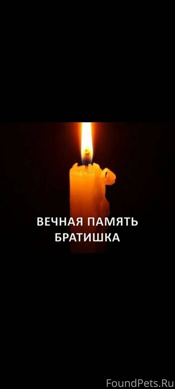 Свеча памяти алексею навальному. Свеча памяти брату. Вечная память брату.