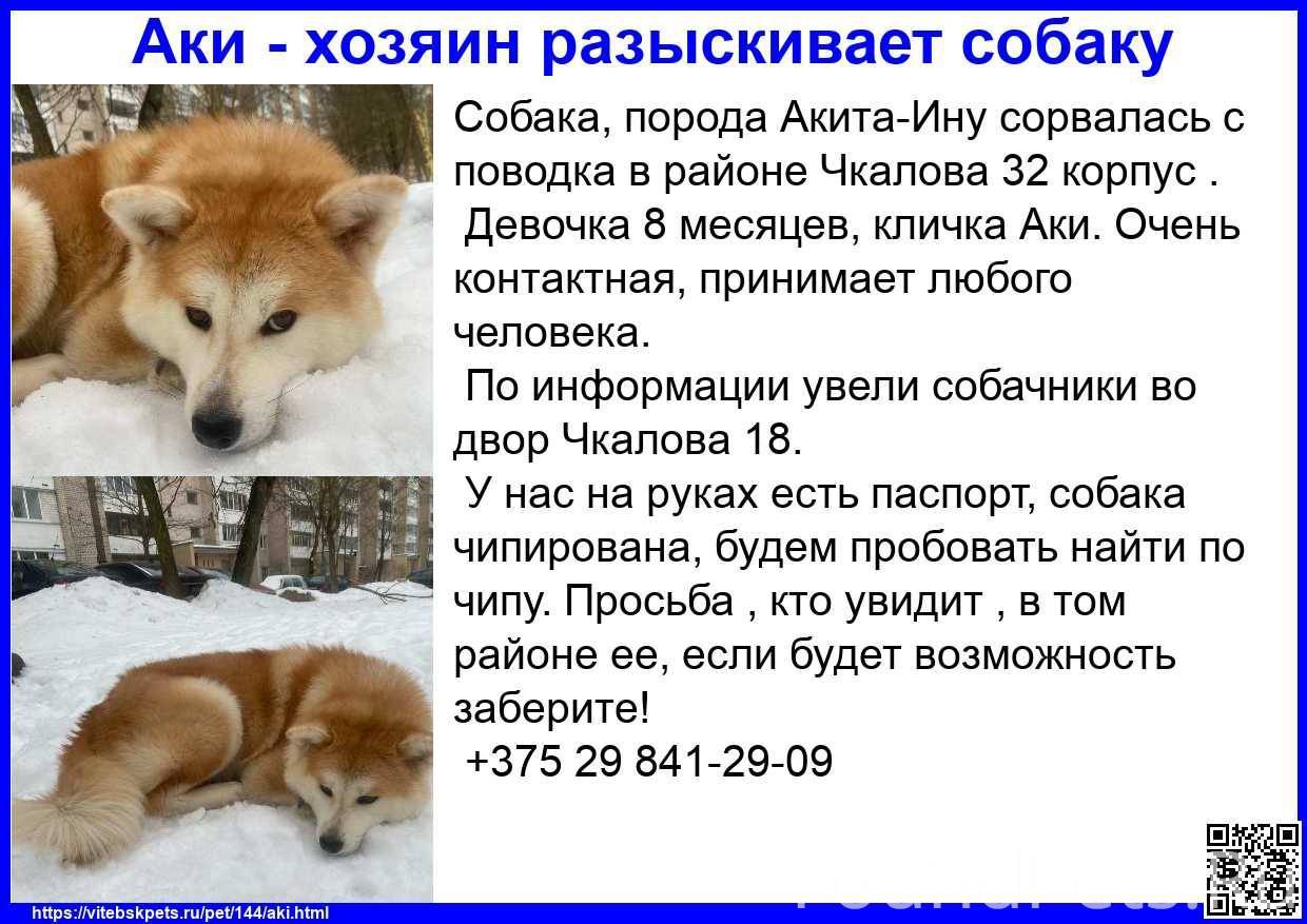 Питание и здоровье акита-ину