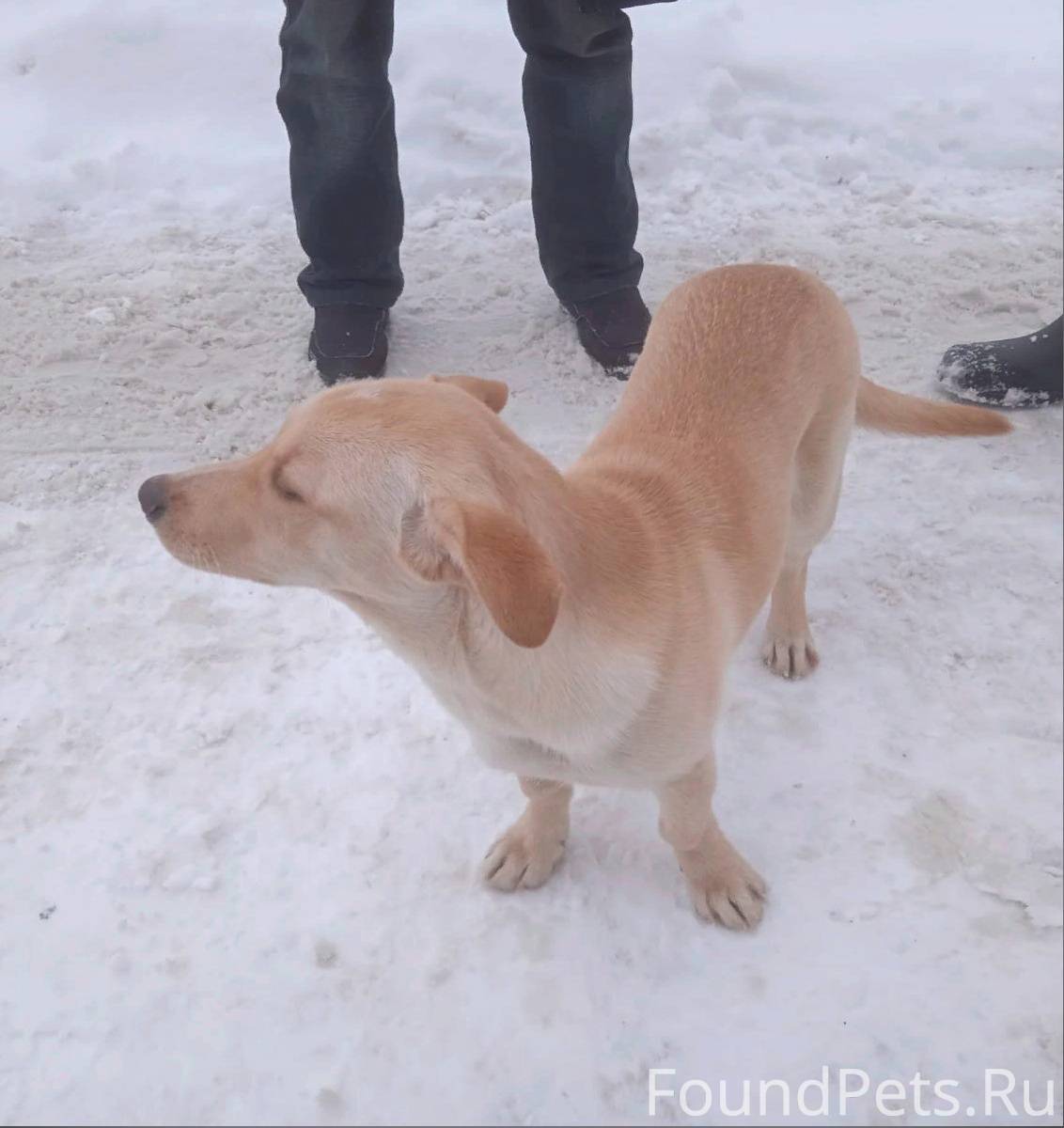 линда вокзал