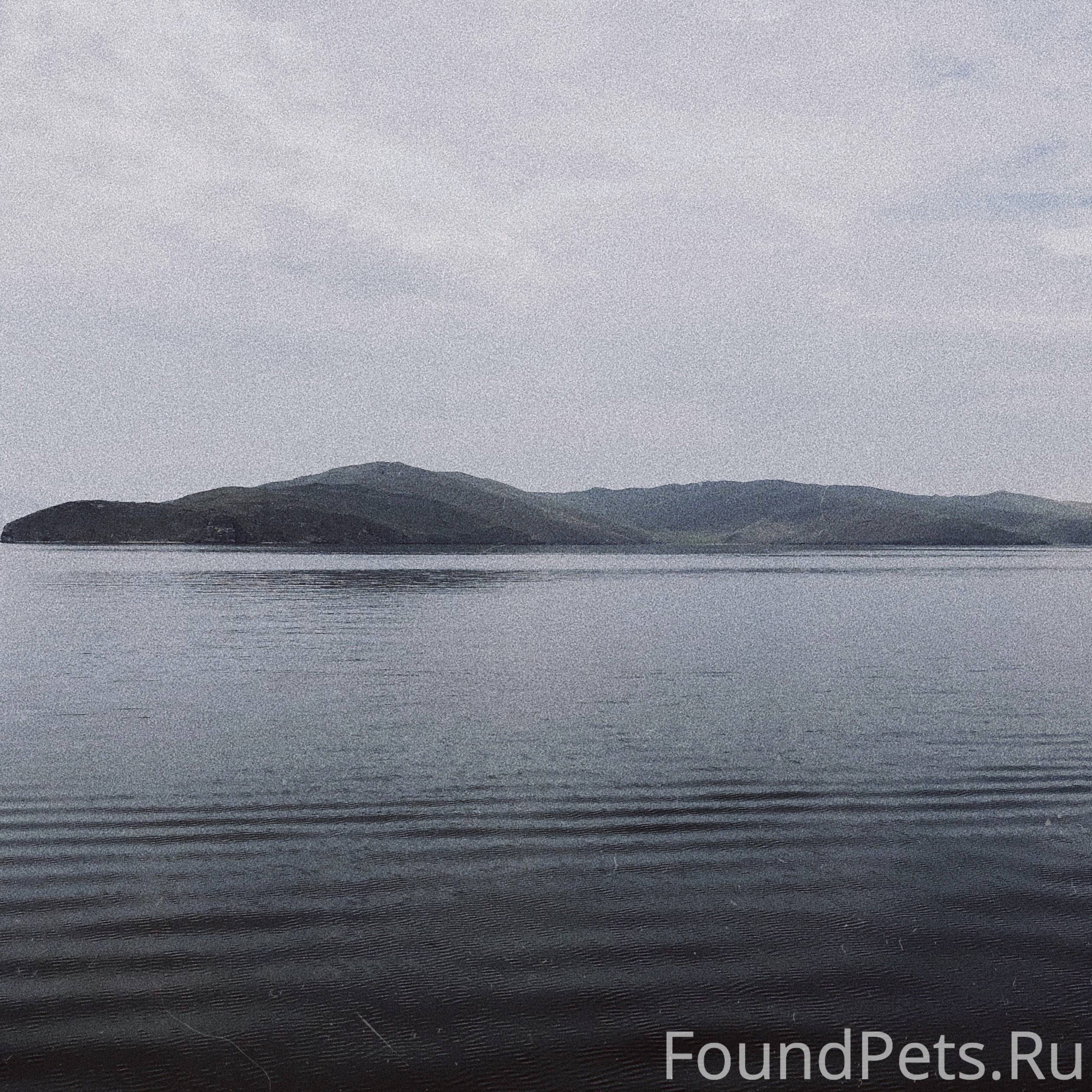 Полезешь в комод за рубашкой