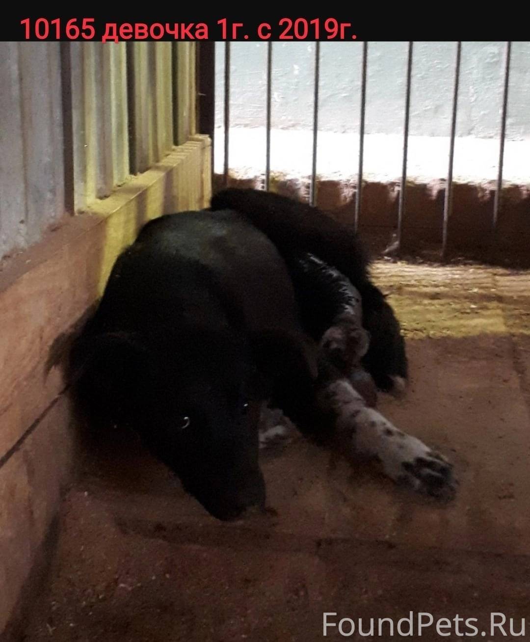 Кедровая леспаркхоз. Кедровая леспаркхоз. Леспаркхоз мытищи. Город мытищи леспаркхоз. Кедровая леспаркхоз.