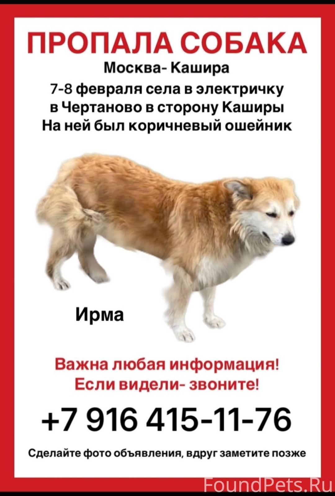 Потерялась собака объявления. Объявление о пропаже собаки. Объявление пропала собака. Объявление собаку москва. Пропала найдена собака москва.