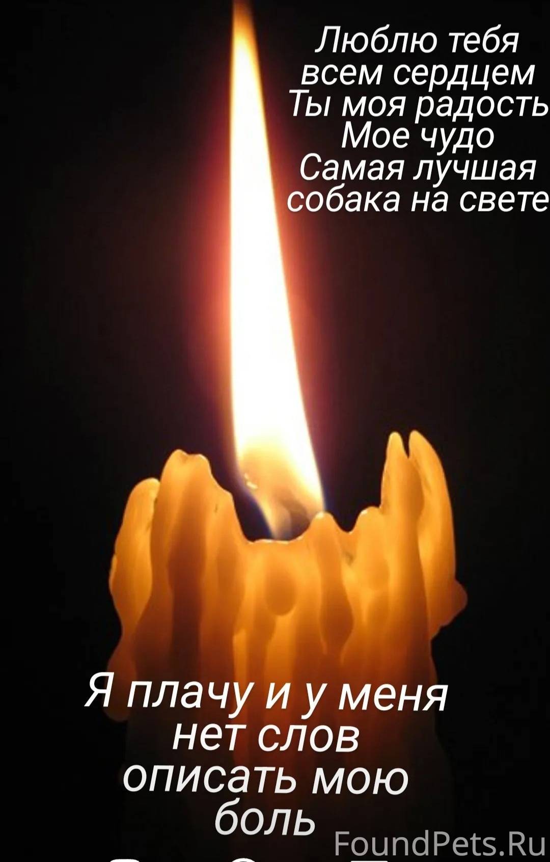 свеча памяти на фото