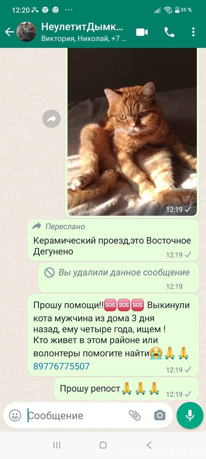 отправить фото через ватсап. помощь персам. помощь персам. помощь персам. перс в добрые руки москва.