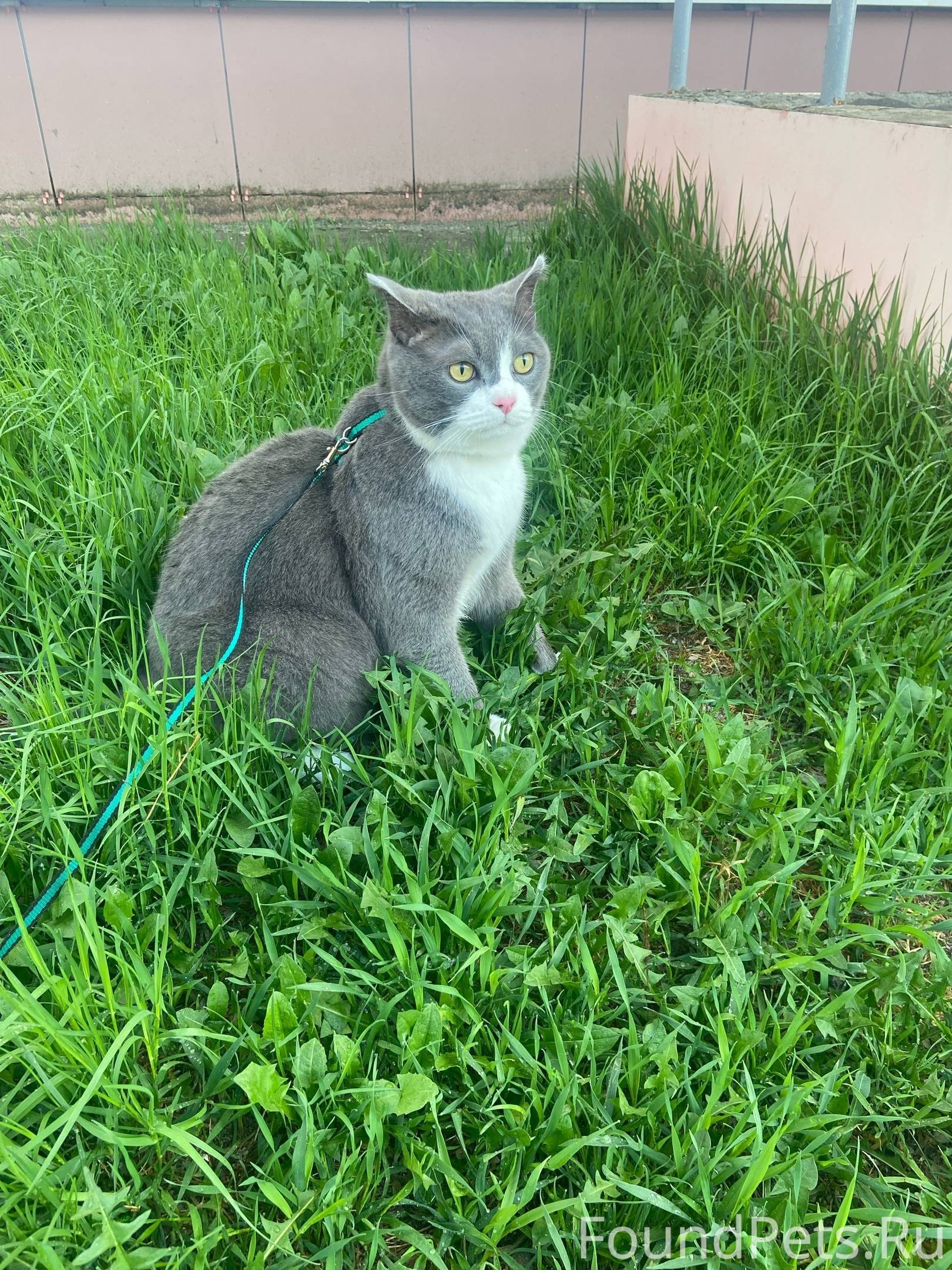 Югорск Авалон фото 20