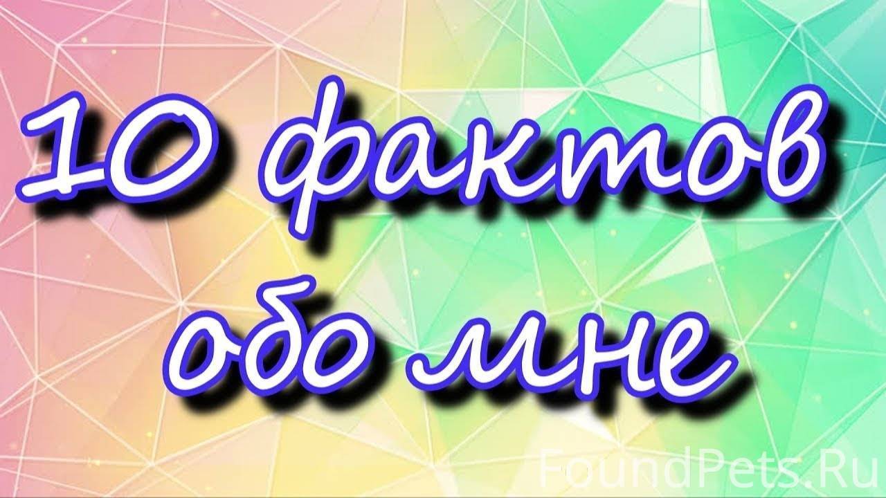 Цитаты обо мне. 10 фактов обо мне. Ты забыл про меня. Те кто рассказывает вам обо мне рассказывают мне о вас. Интересные обо мне.