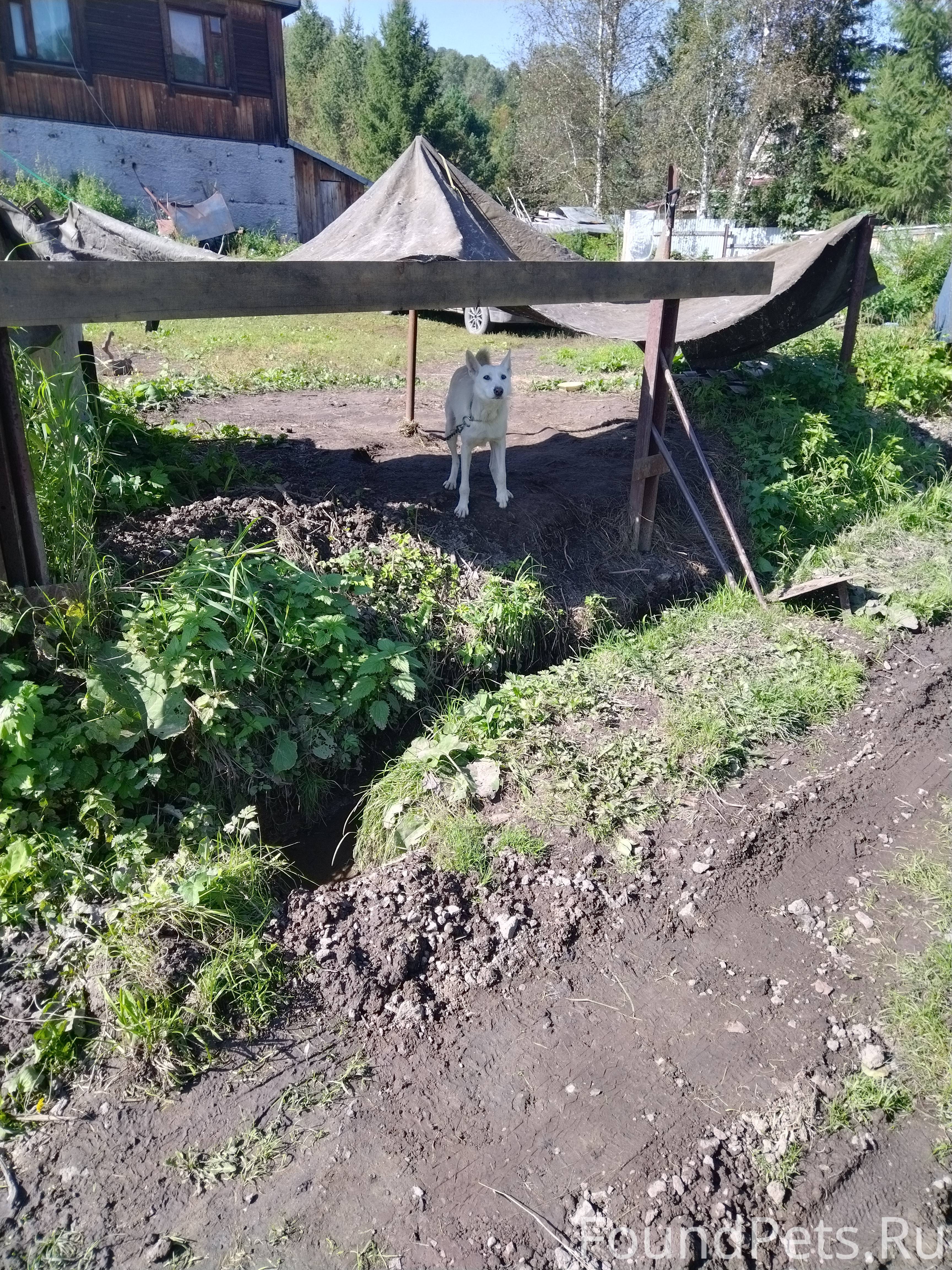 санаторий таргай новокузнецк