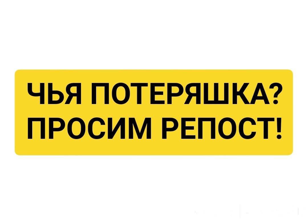 Срочно заметить. Чья потеряшка. Потеряшка надпись. Потеряшка или самовыгул. Чья потеряшка надпись.