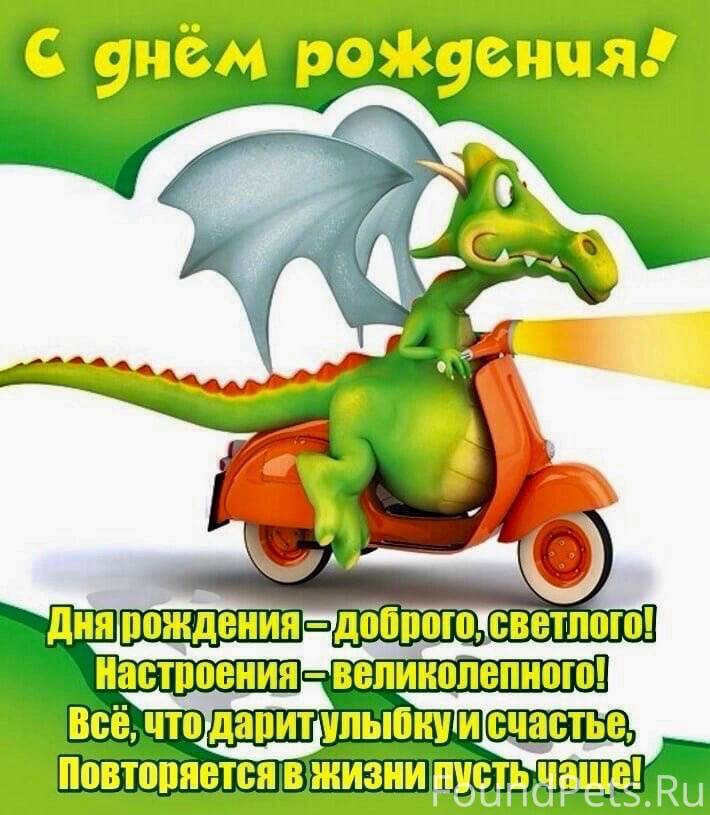 Найти подходящую собаку