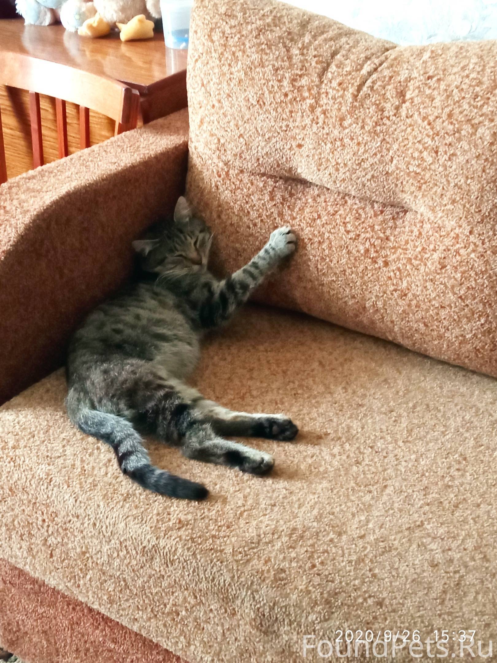 бостон сифуд белорусская. ресторан бостон на павелецкой. бостон на павелецкой меню. Boston лесная ул 7 отзывы. бостон лесная улица 7.