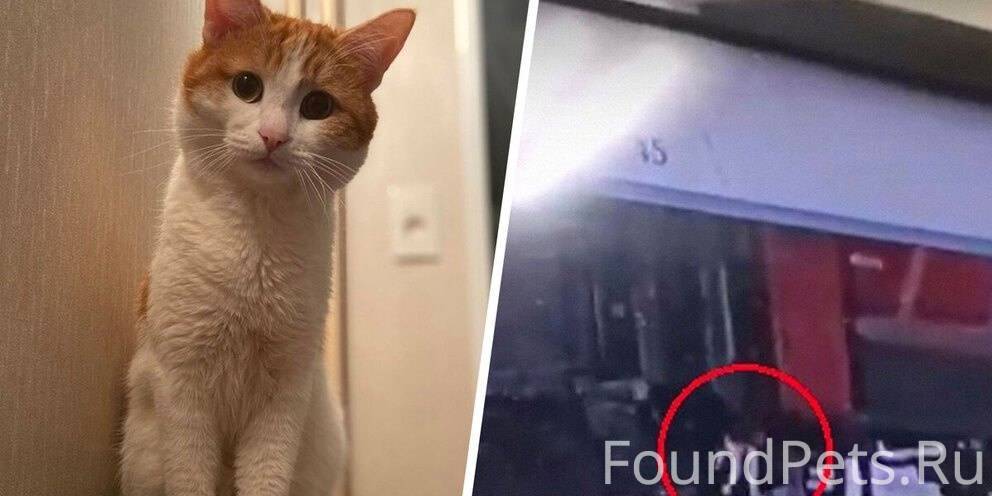 сколько человек в городе екатеринбурге