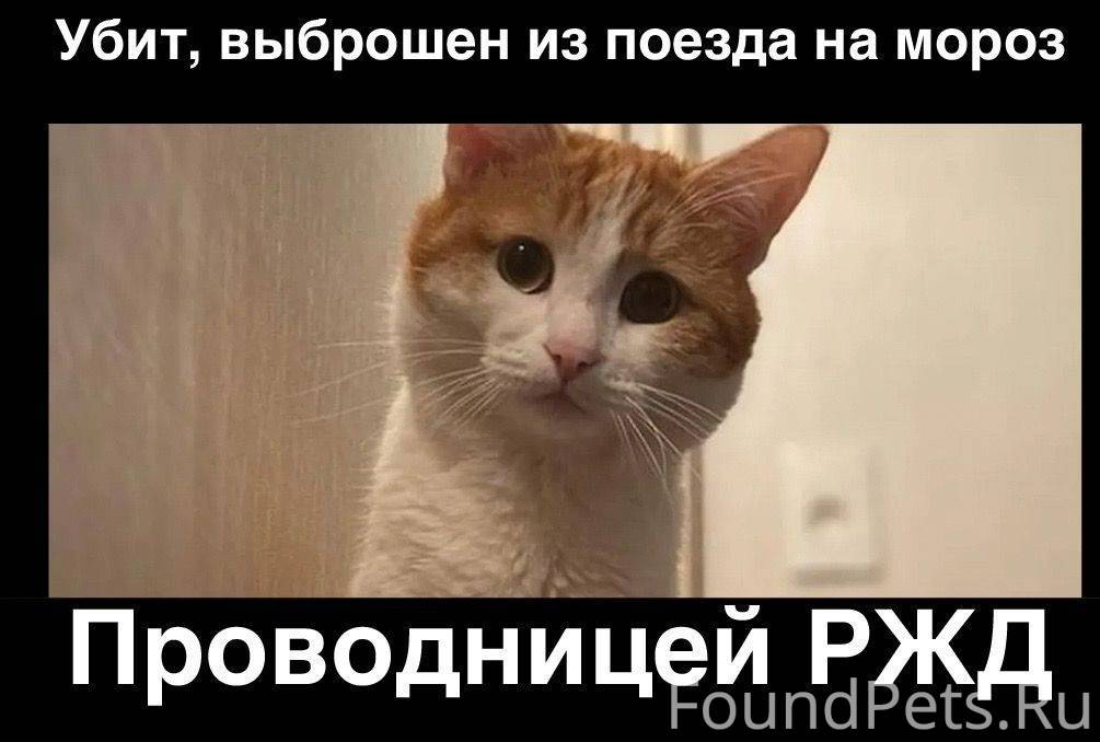 Комендантский час. Не позже одиннадцати. Памятка комендантский час для несовершеннолетних. Джейсон стэтхэм в россии мем. Телефон доверия для детей и родителей.