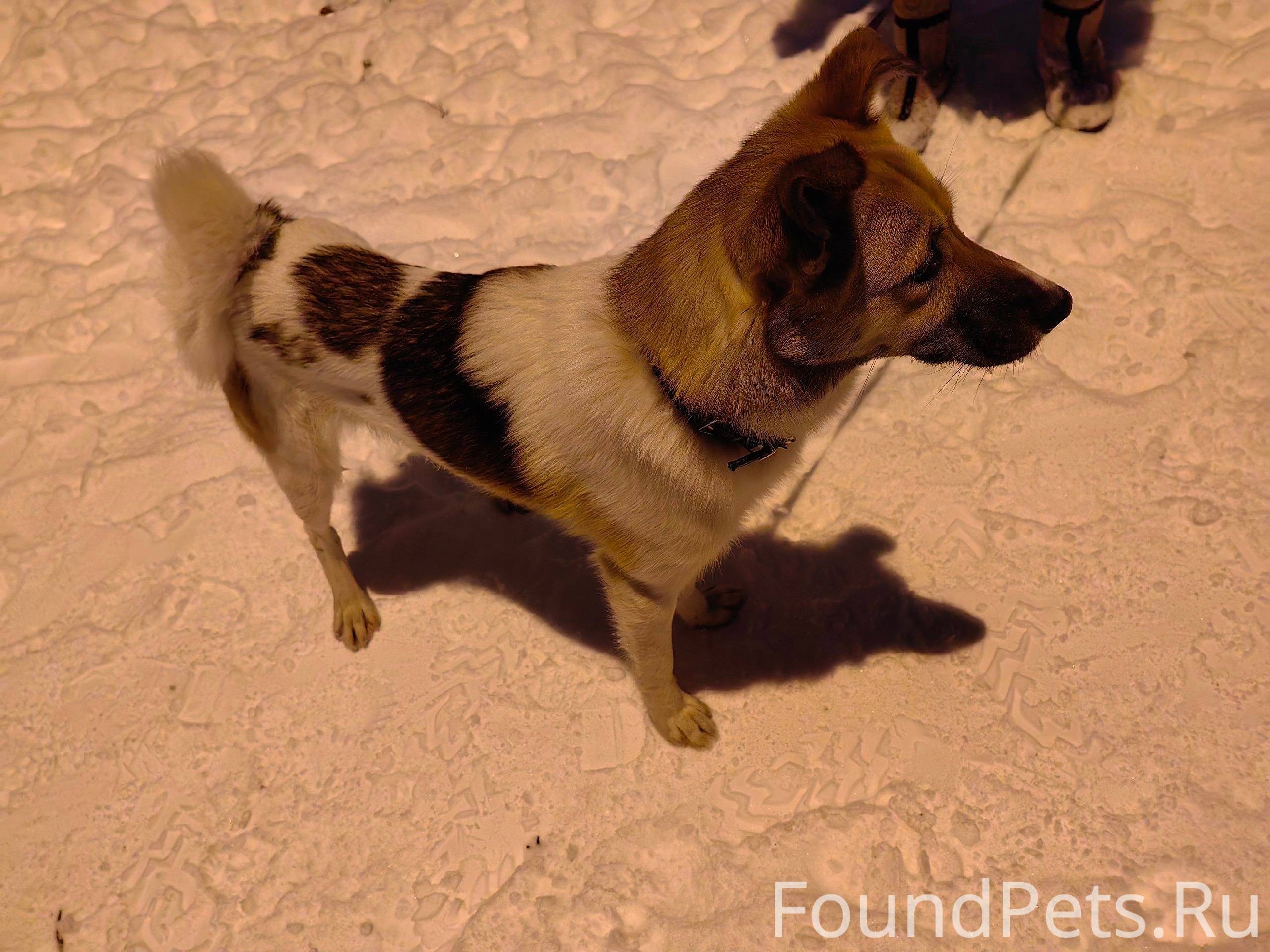 чей номер телефона. определить кому принадлежит номер. чей телефон 770. чей телефон 770. номера телефонов список.