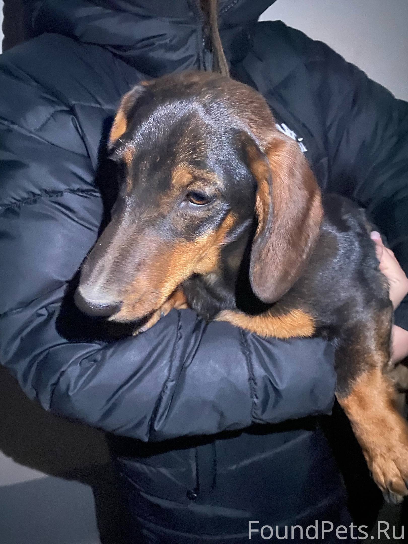 расписание врачей детской поликлиники. кимры црб. график приема врачей стоматологической поликлиники. центральная городская больница бийск. регистратура цгб бийск номер телефона.