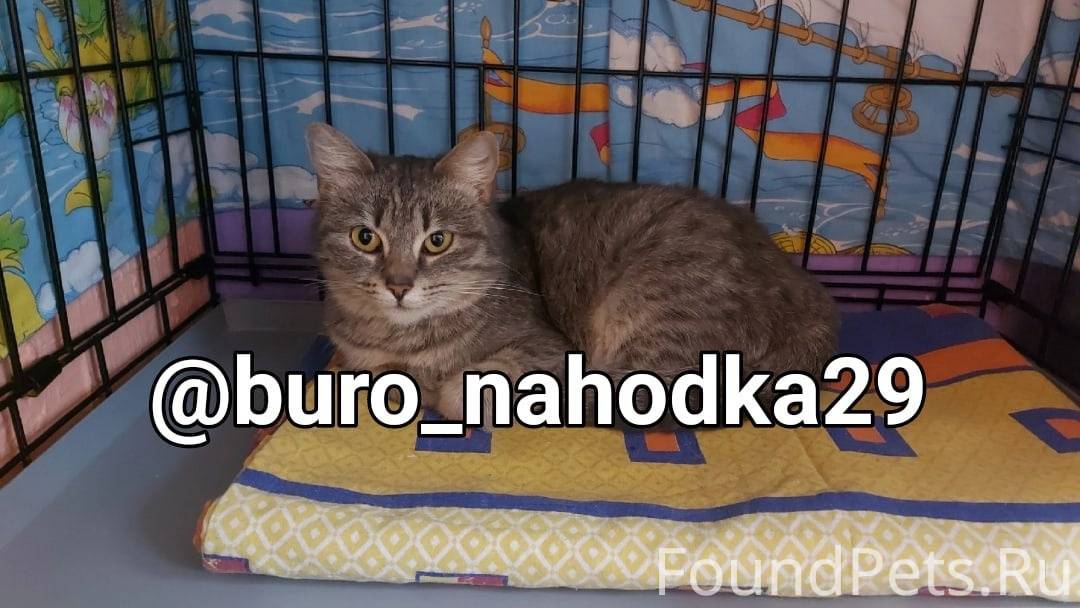 (7 1/6-1 3/4):15+2 5/8х2/3. что такое значение в математике. на сколько математика. 9-9*10 ответ. 4,3+1 шестых.