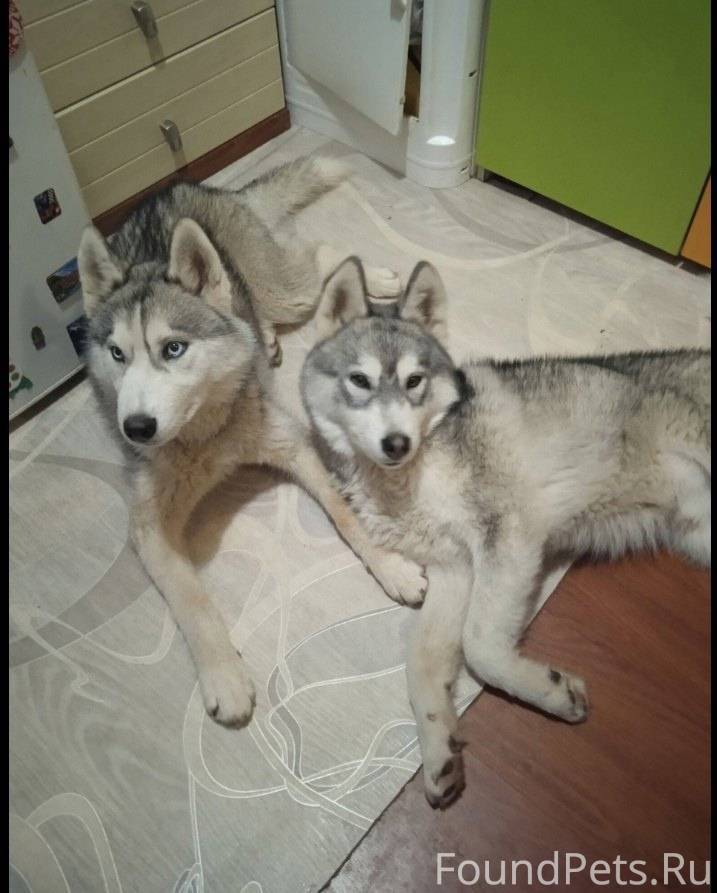 горячая линия водоканала ставрополь. водоканал сергиев посад. город кимры водоканал. водоканал кимры телефон. гдс город кимры.