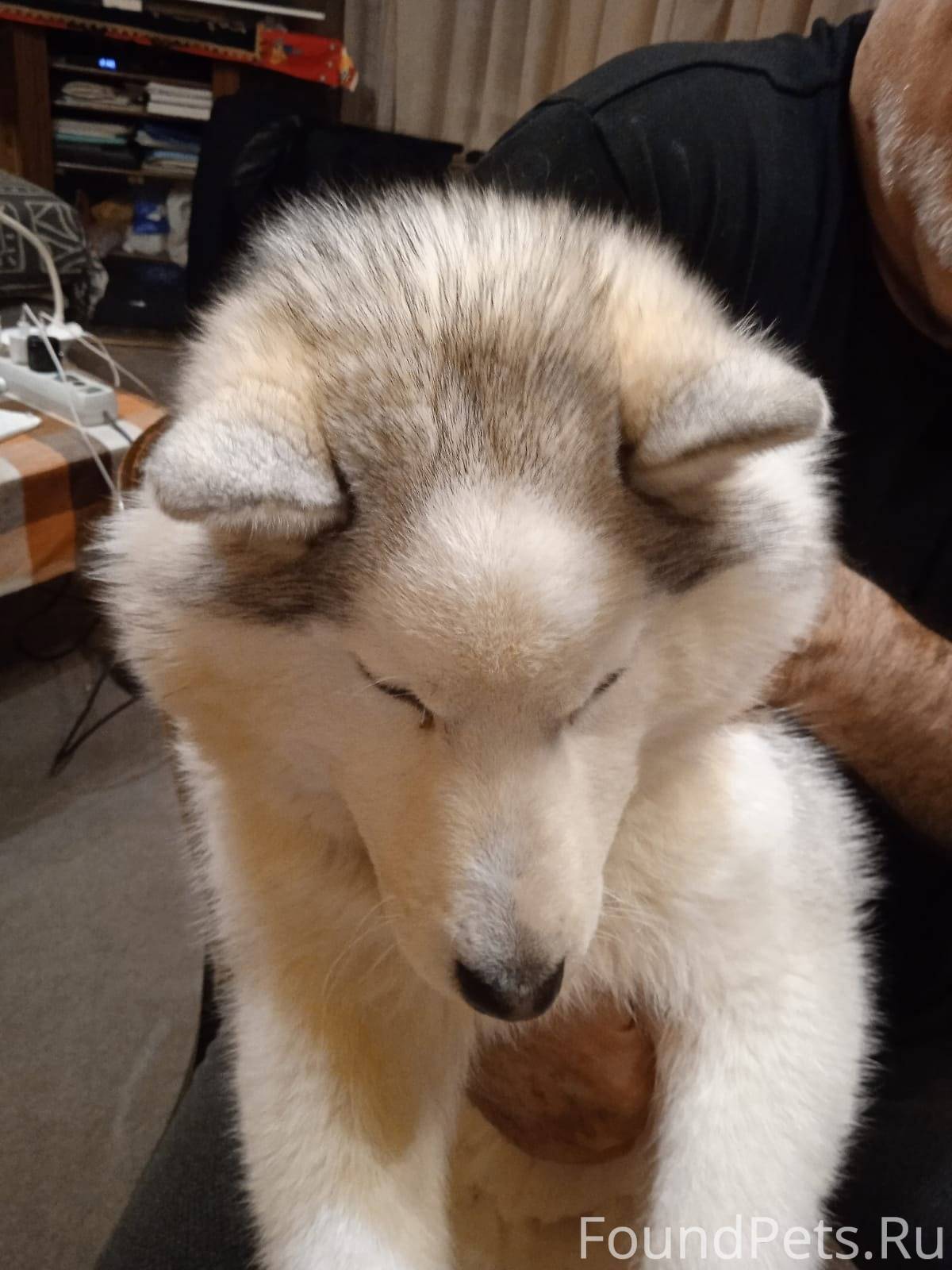 найти 5 12 от 36. приведите дробь к 5. как вычислить четверть. найти 5 12 от 36. 7-4 1 3 0.