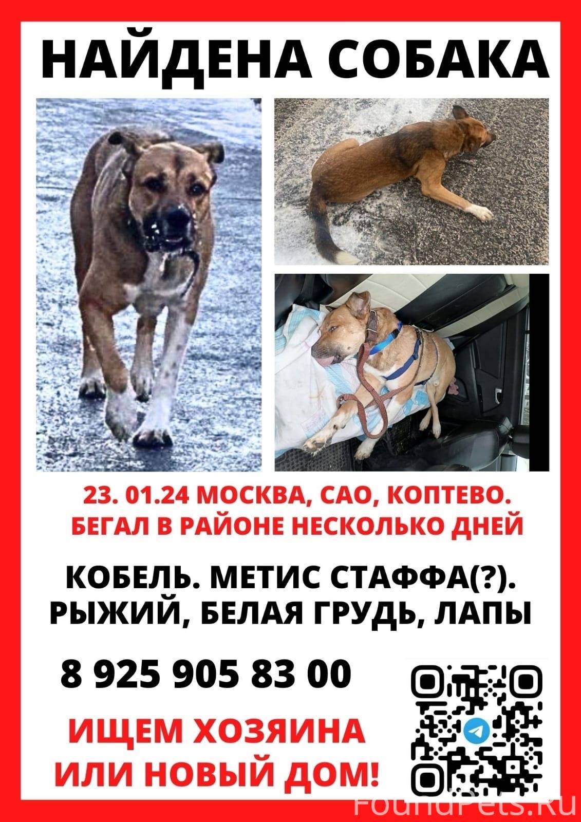 Техподдержка вайлдберриз. Чат в приложении сбербанк. Найти чаты помощи. Яндекс сообщения. Чат с поддержкой яндекс маркет.