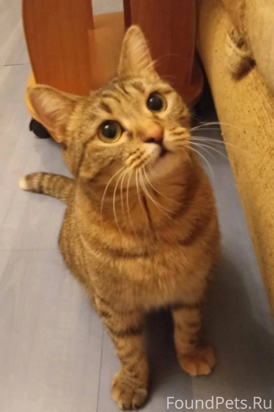 осмотр мест возможного укрытия лиц. обыск участков местности. фотобалицр к осмотру места совершения преступления. действия сотрудников овд при осмотре зданий. осмотр мест возможного укрытия лиц.