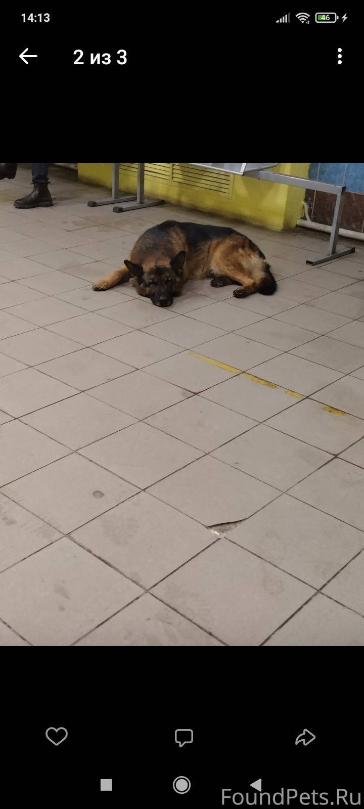 приставы малоярославец телефон. судебный пристав-исполнитель леташова. приставы малоярославец телефон. судебные приставы калужской области малоярославец. судебные приставы малоярославец.