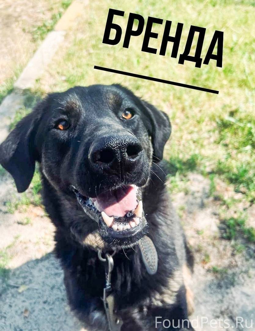 Доброта к людям. Стих на тему добро. Девочка обнимает игрушку. Совсем не добрый человек. Добрым быть совсем.