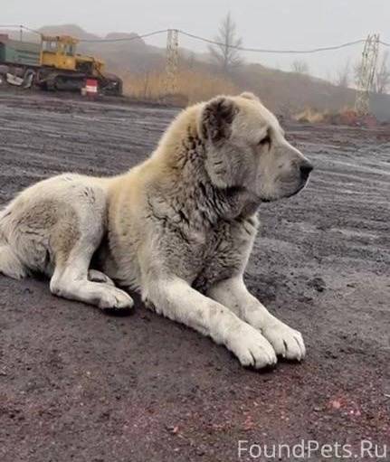 неизвестный пол по фото. фото над пропастью. канат над пропастью. пропасть на две недели. пропасть на две недели.