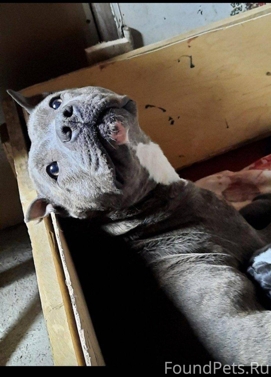 Обладает какой либо информации. Человек утверждает. Информационные процессы в управлении. Преимущество. Обладает какой либо информации.