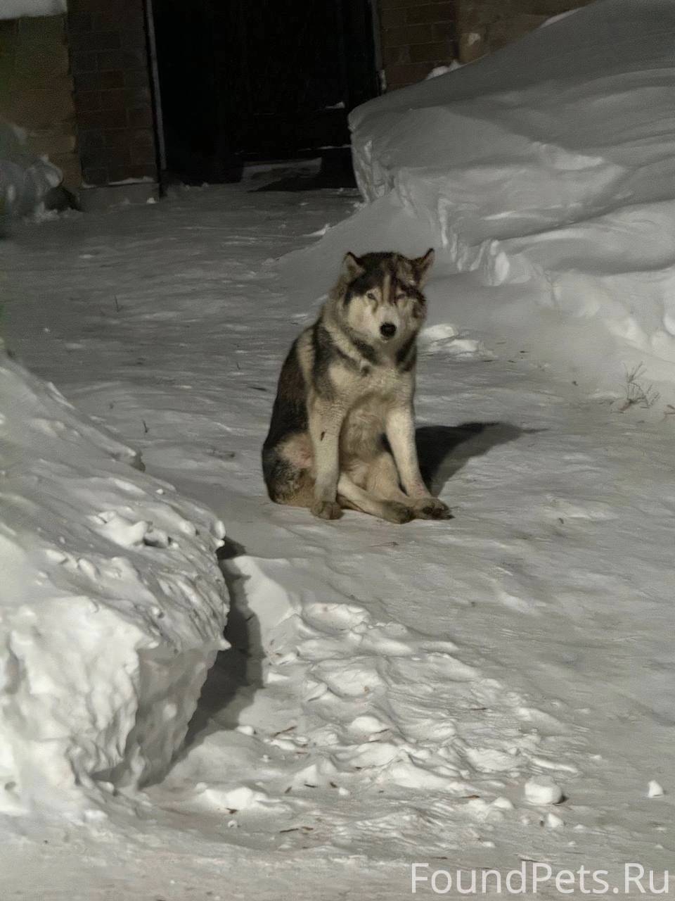 Съезди пожалуйста