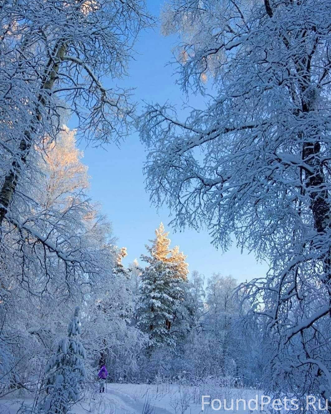 Женщина у окна весна. Весны прекрасные мгновения. Вижу сны где нет весны. Весна идёт. Нежность таинственность.