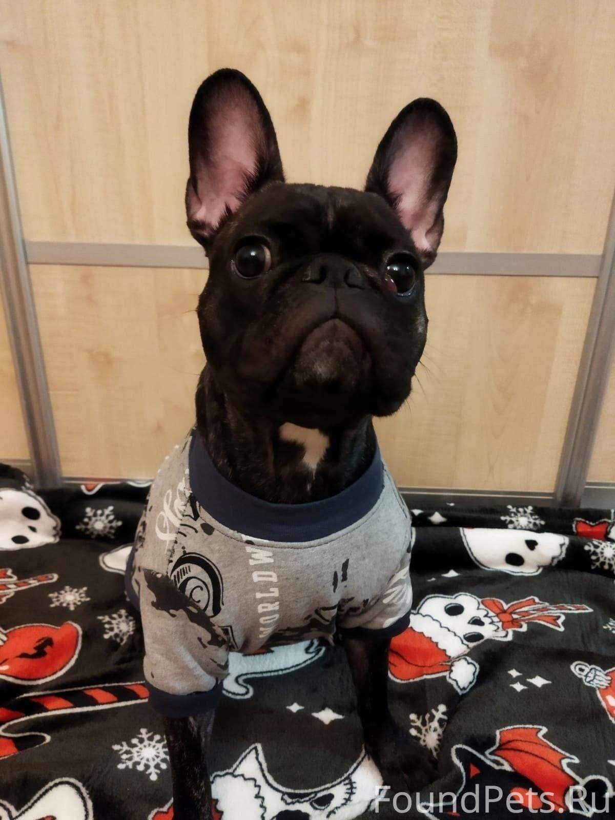 05 % раствор. Морфологический разбор слова существительного 1 класс. Ему сделать р р 3. Раствор перекиси водорода 2% 10 мл. Морфологический разбор слова 3 класс.