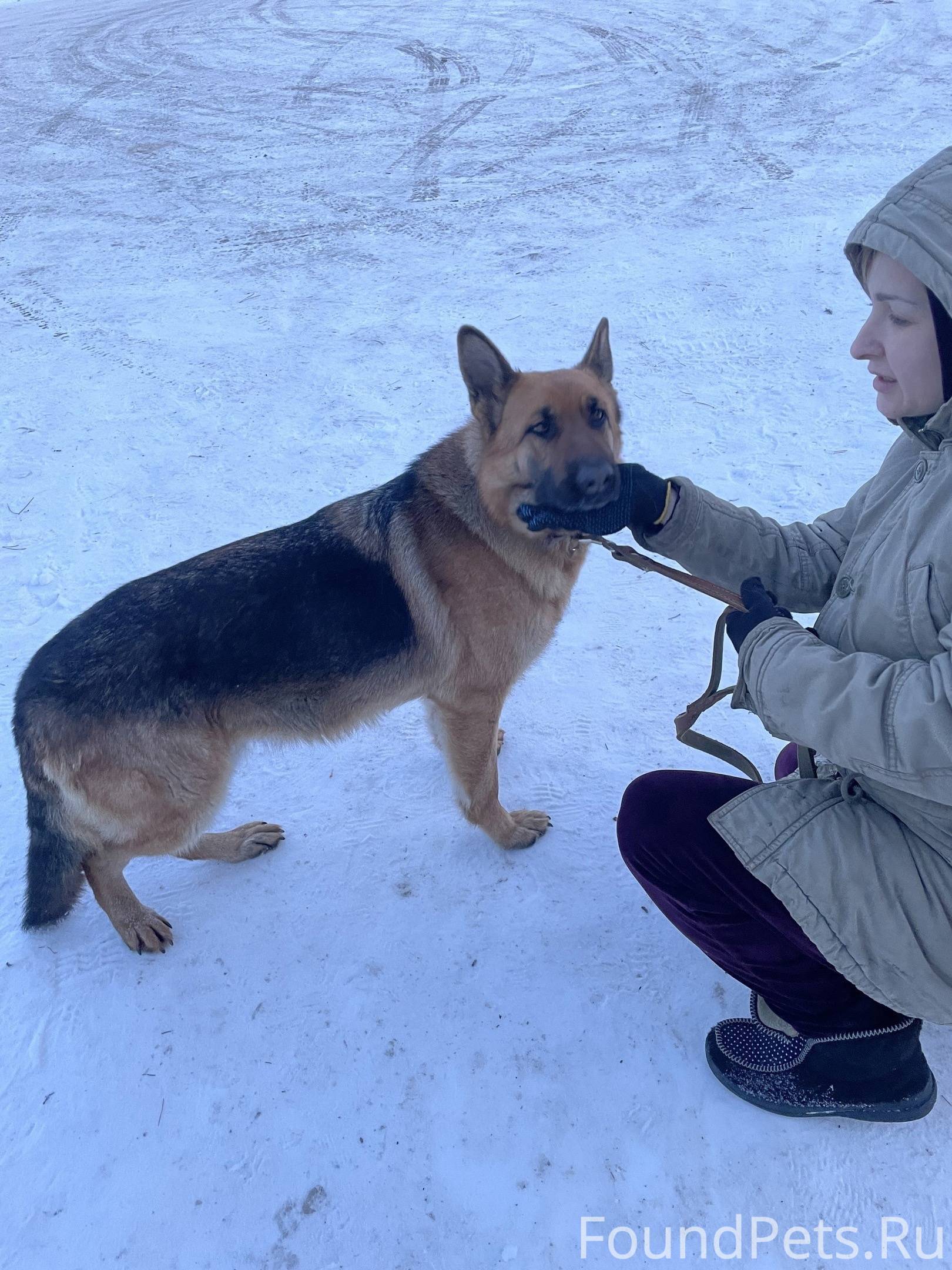 Решение (2 2/3+ 1 5/6):1 1/2. 1) вычислите: а) -7-4=. Вычисли 2 52 0 7 2. Вычислите 4 4 4 15 1 7 15. Вычислите (-5,7+4,2)-1.