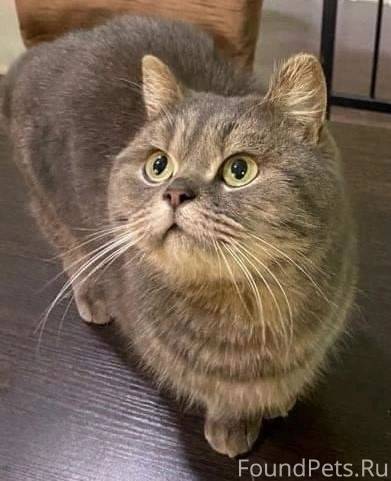 мой отец добрейший человек. мой отец добрейший человек. какой мой папа. мой добрый папа книга. мой отец добрейший человек.