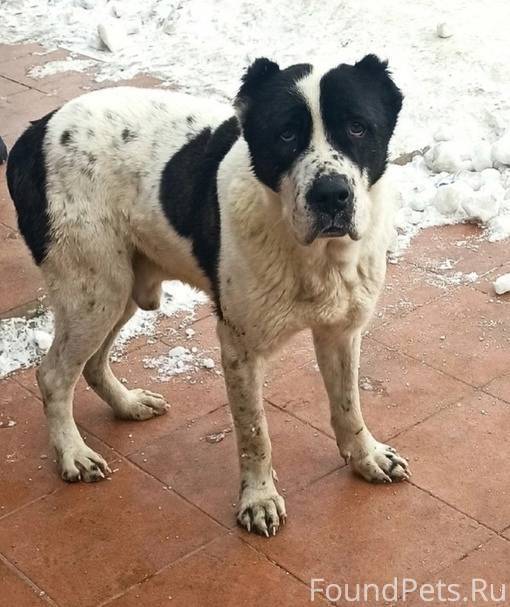 Расписание врачей детской городской больницы. Рабочая 34 самара телефон регистратуры. Расписание врачей в поликлинике. Рабочая 34 самара телефон регистратуры. Приёмные часы в больницах для посетителей.