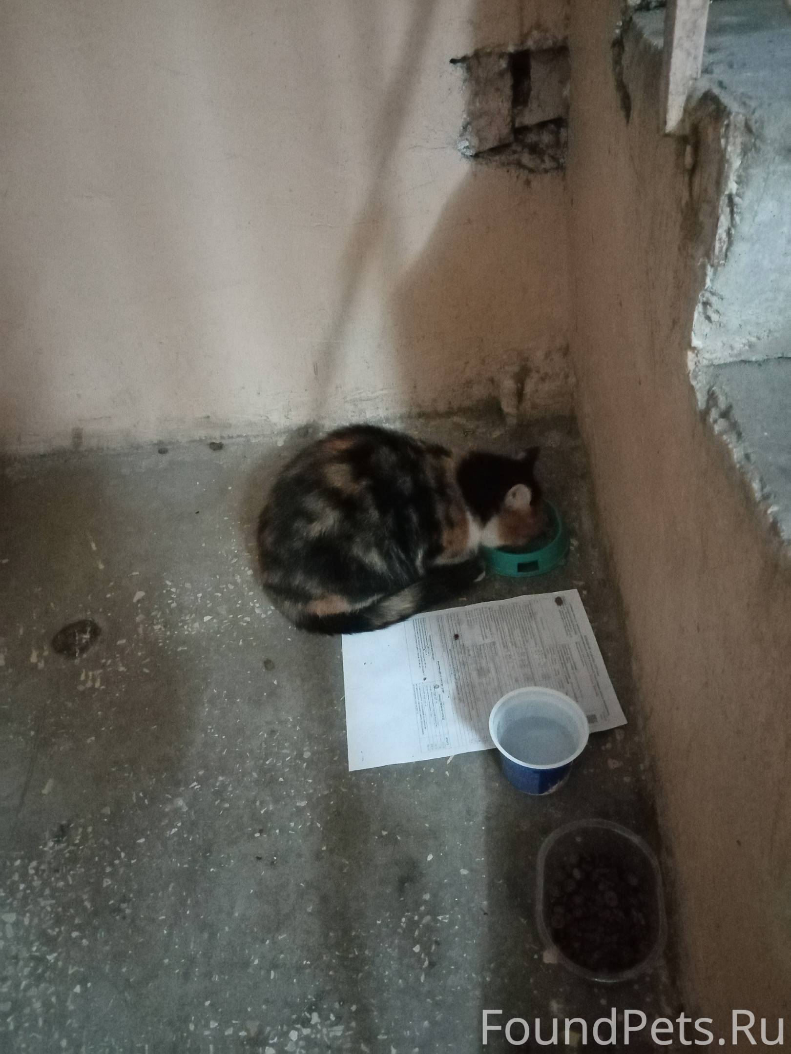 црб поликлиника регистратура. телефон регистратуры стоматологии молодечно. детская стоматологическая поликлиника № 46. стоматология молодечно великий гостинец. телефон регистратуры стоматологии молодечно.