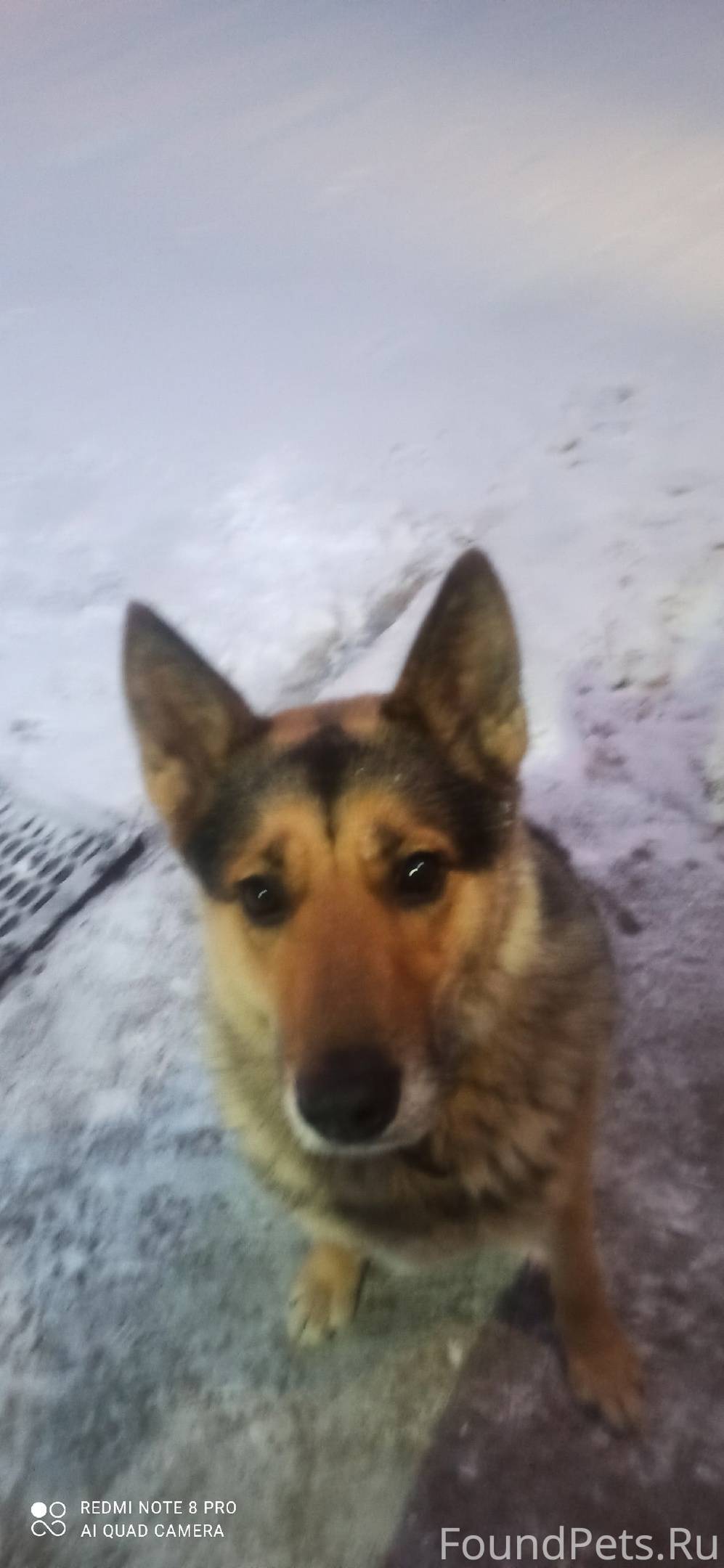 Запись к врачу. Афиша тосно. Записаться на прием к терапевту. Тосно клуб. Соловьева дарья владимировна.