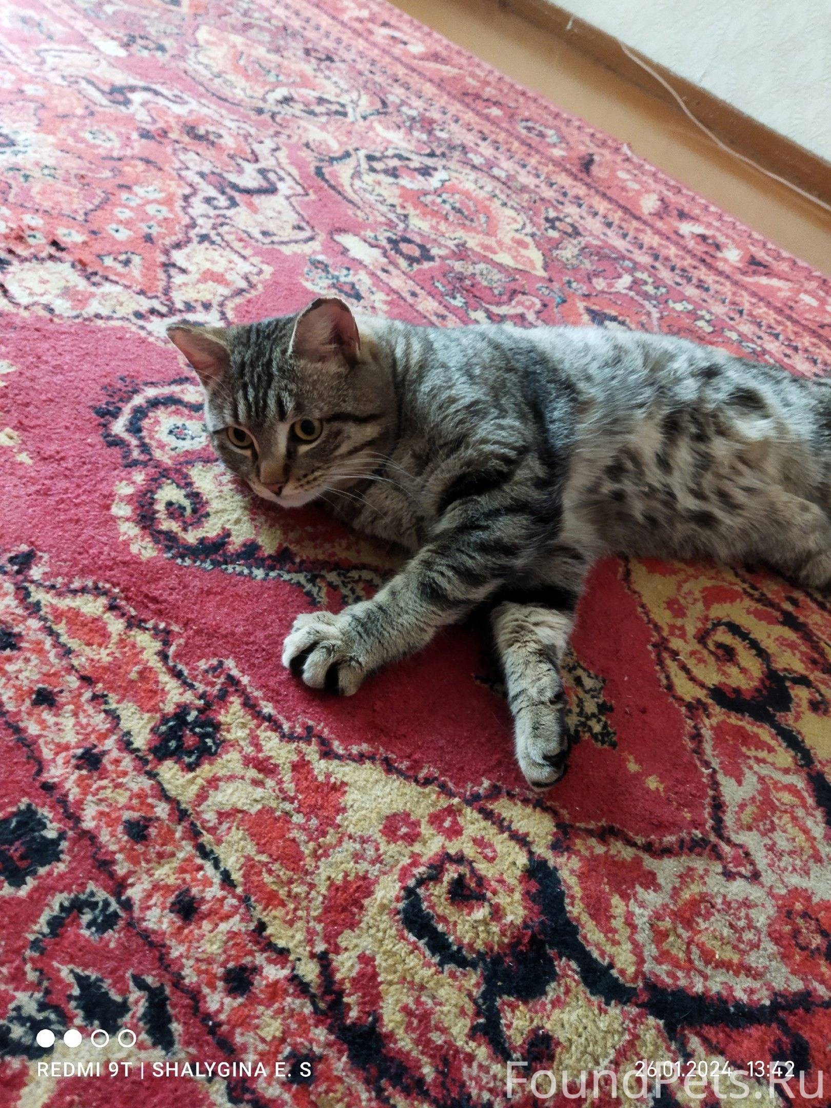 автовокзал месягутово номер телефона