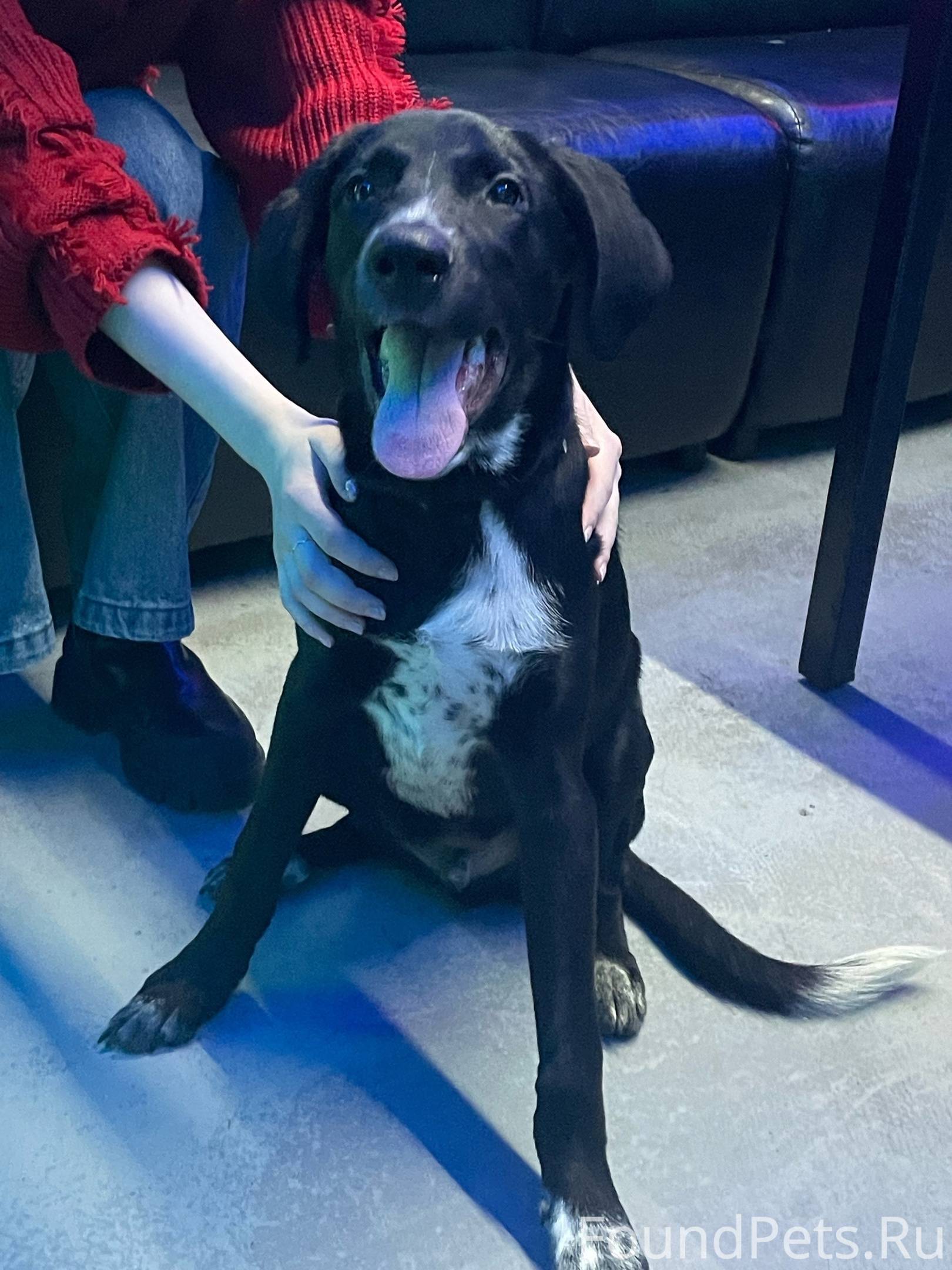 Закрытая школа сериал. Закрытая тема 5. Закрыли тему. Надпись тема закрыта. Тема 5.