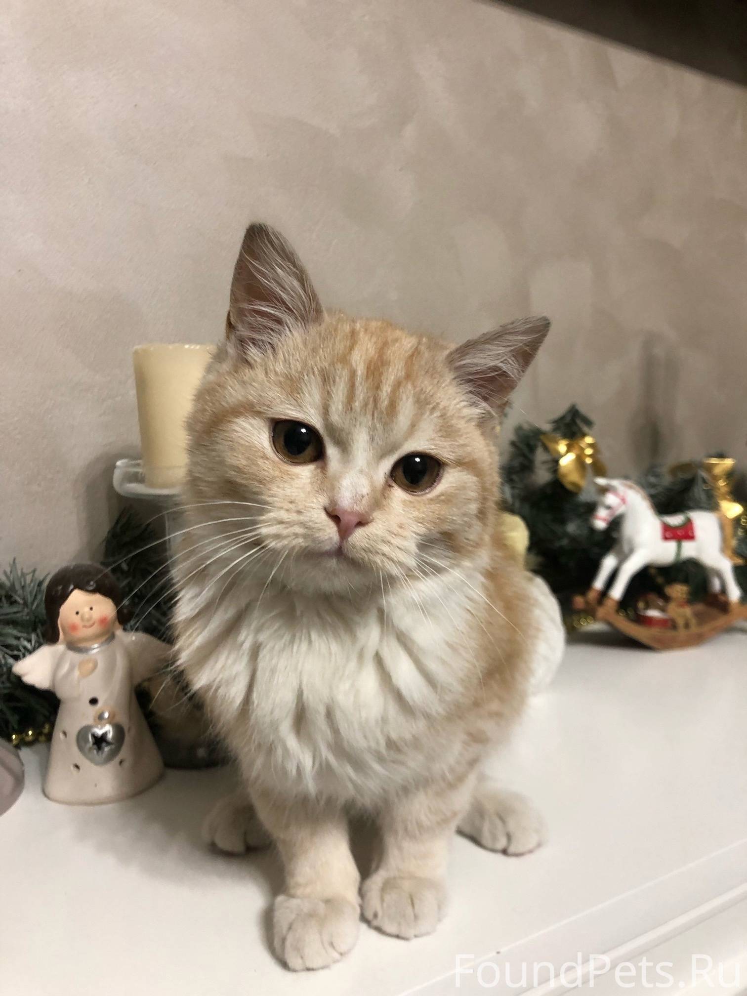 Подобрать цвет волос. Риэлтор с клиентами. Посоветуйте хорошие интернет магазины. Подскажите подойдет. Фото лейсан скрипцовой.