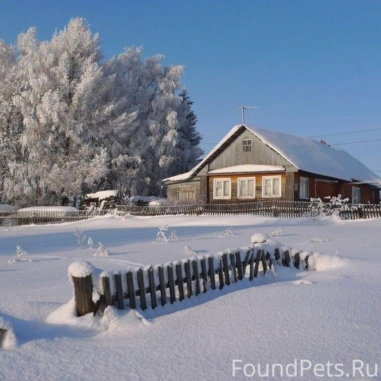 Здесь снег побелее