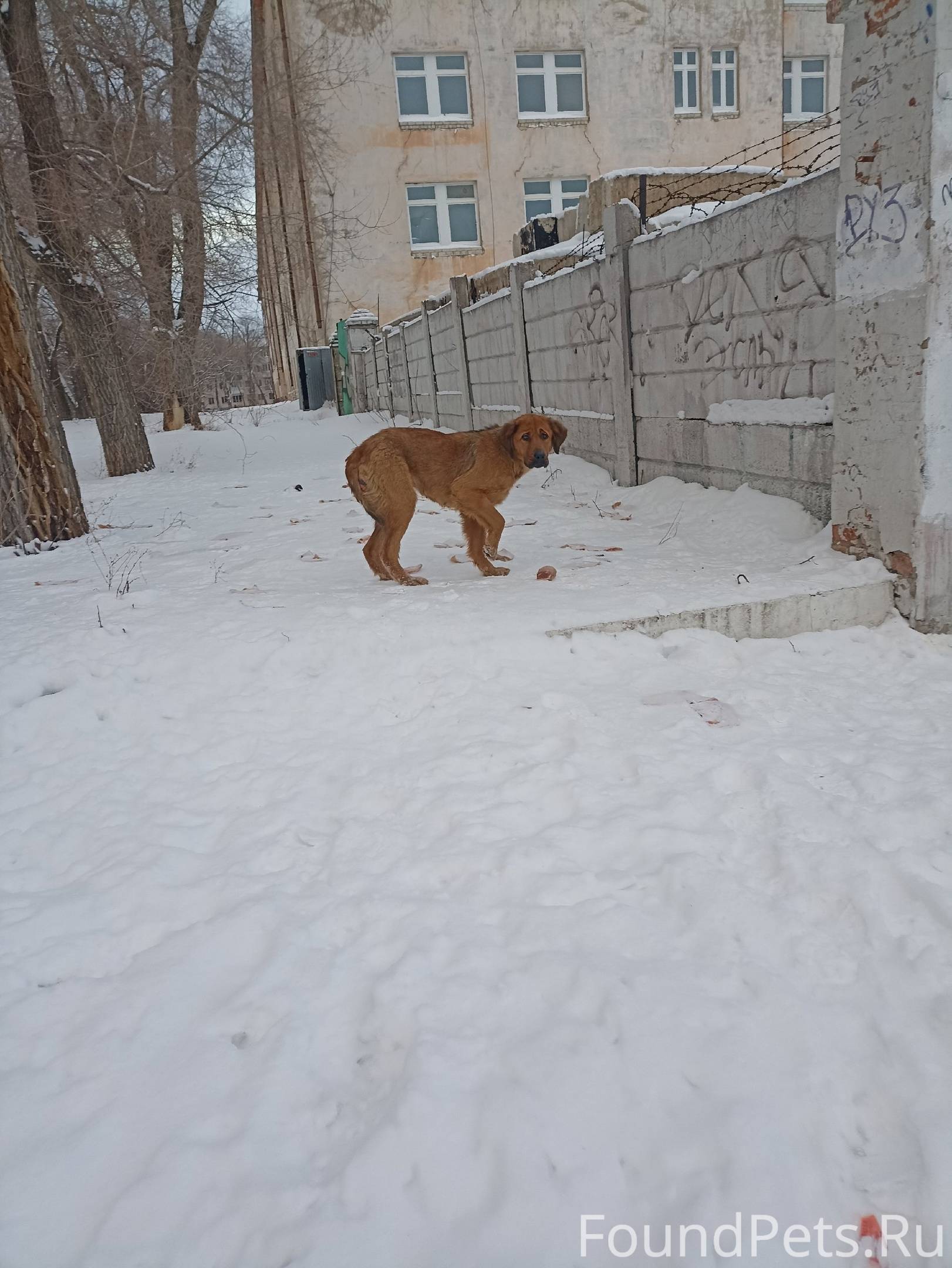 Алиса номера телефонов пожалуйста