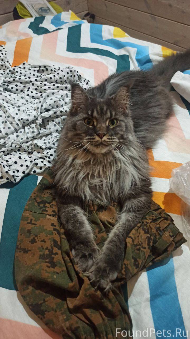 Здравствуйте! Просим опубликов...