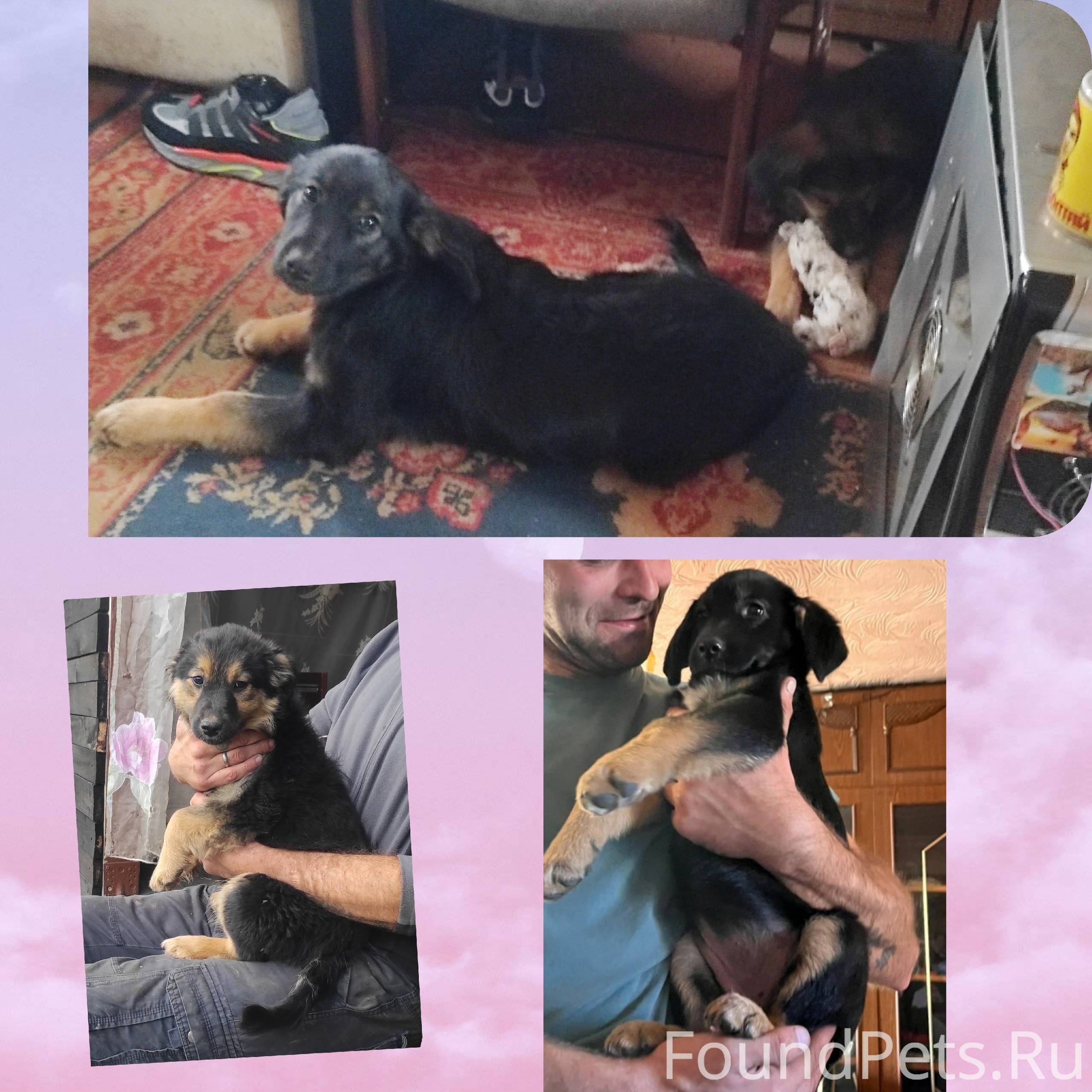 🆘!!!! Дорогие друзья, просим п...