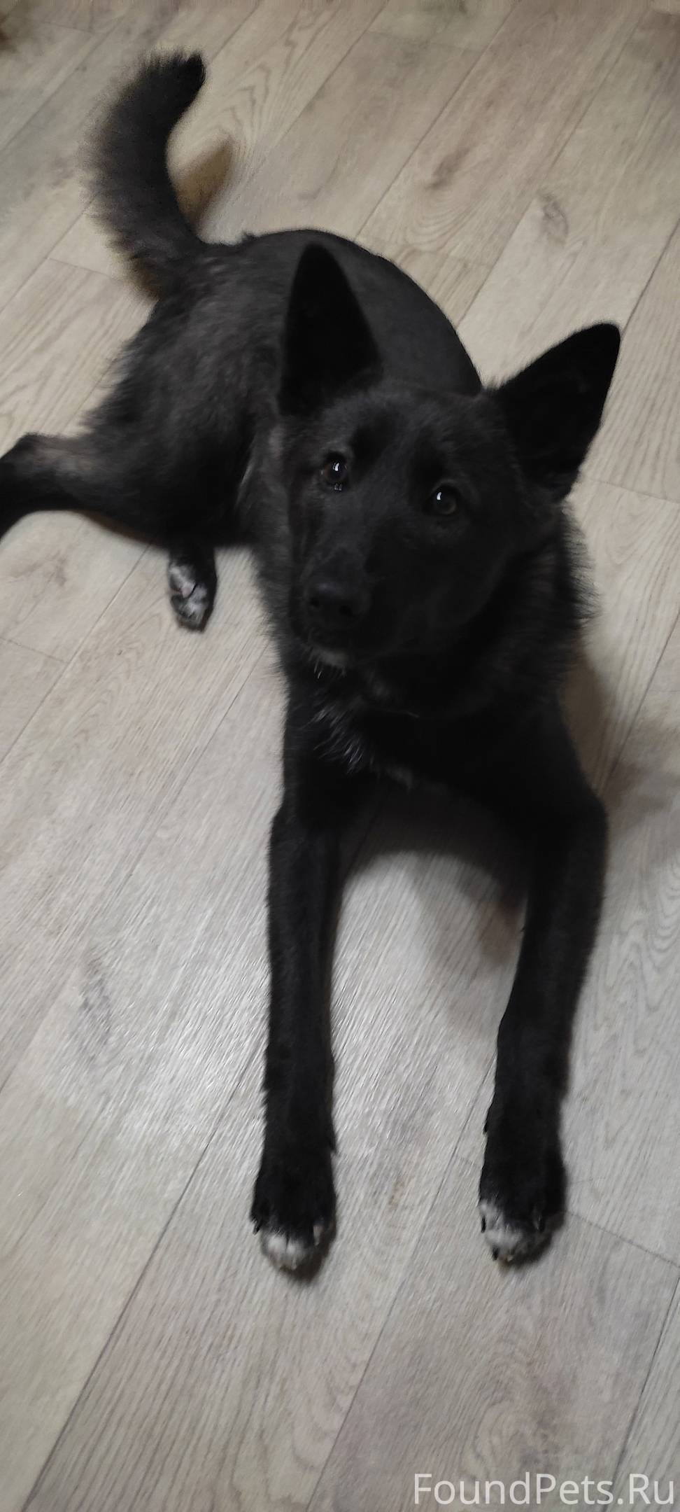 901 оператор сотовой связи и регион. коды номеров сотовой связи по регионам. номера сотовых операторов россии таблица. код мобильного номера. коды городов телефонные мобильных операторов.